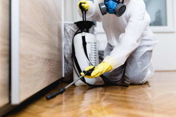 Pest Control for Restaurants in Carmel Valley Village, CA