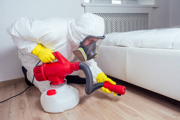 Best Pest Control Near Me in Carmel Valley Village, CA