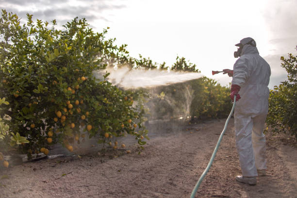 Best Best Pest Control Companies  in Rmel Valley Village, CA