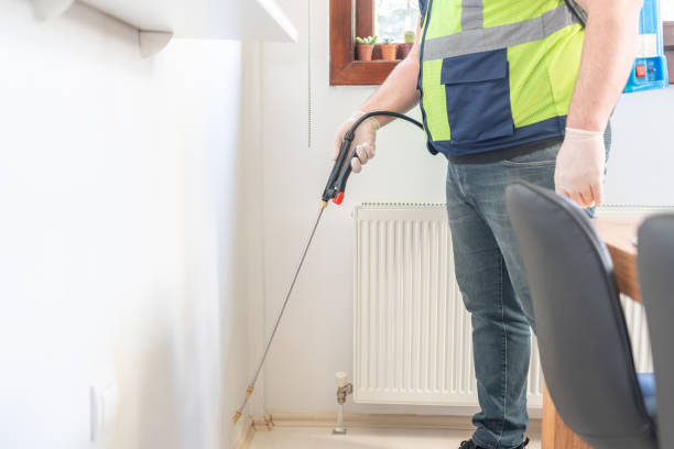 Best Local Pest Control Services  in Rmel Valley Village, CA