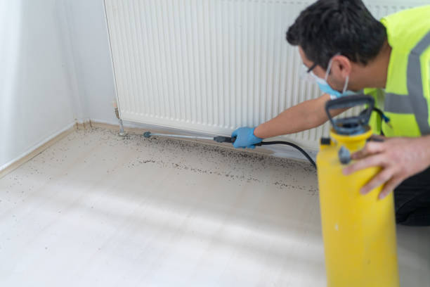Best Pest Removal Services  in Rmel Valley Village, CA
